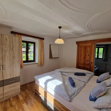 Viktoria Buchegger *