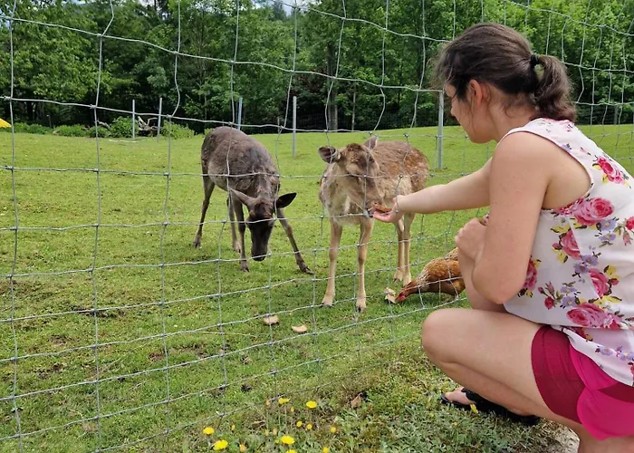 아파트 Viktoria Buchegger *