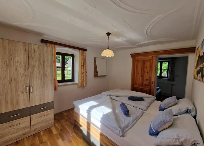 Viktoria Buchegger *